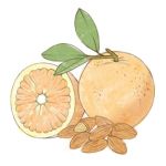 Colomba tradizionalei<br>750 gr